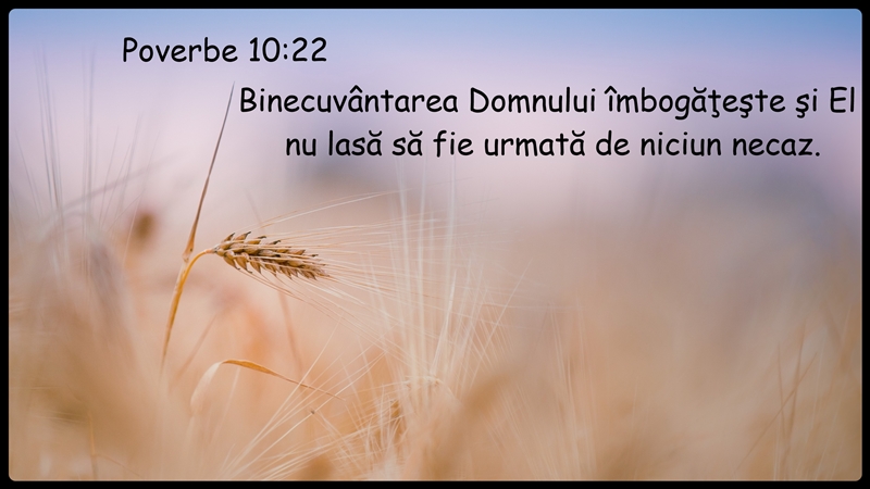 Proverbe 10 v22