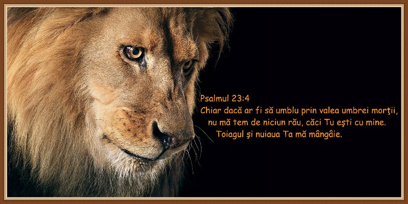Psalmul 23 v4