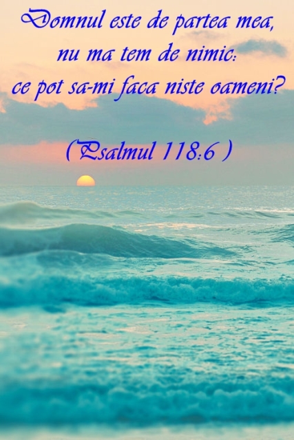 Psalmul 118 v6