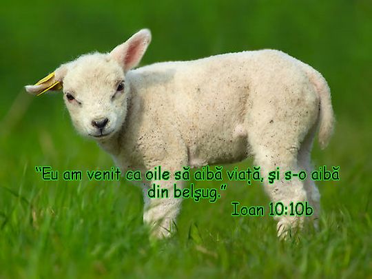 Ioan 10:10