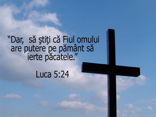 Luca 5:24